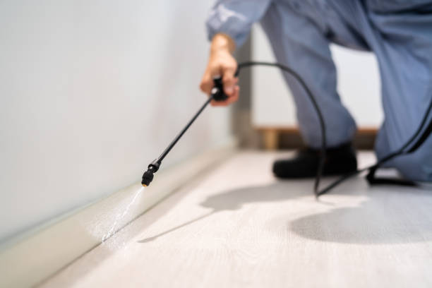 Licensed Pest Control service in Napa, CA - Show Me Pest Control