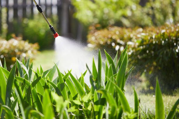 Tamper-Resistant Bait Stations for Rodents in Napa