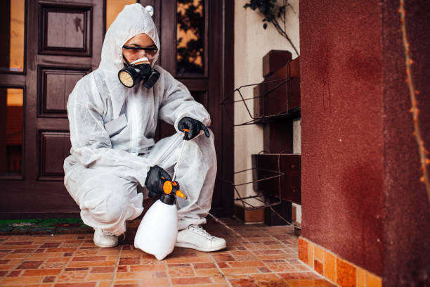 Attic and Crawl Space Rodent Treatment in Napa