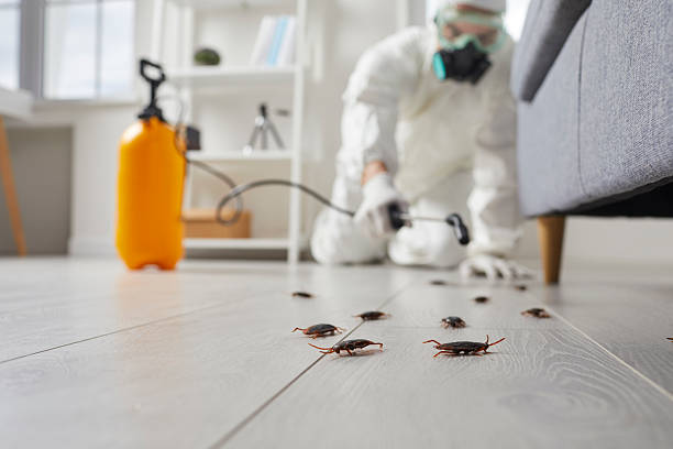 Commercial Rodent Management in Napa